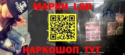 стафф Донской