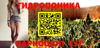 apvp Дубна