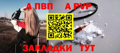 стафф Донской