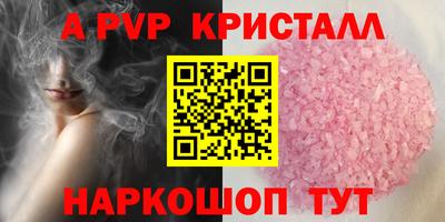 стафф Донской