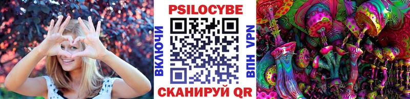 Галлюциногенные грибы GOLDEN TEACHER kraken как войти Светлоград сколько стоит