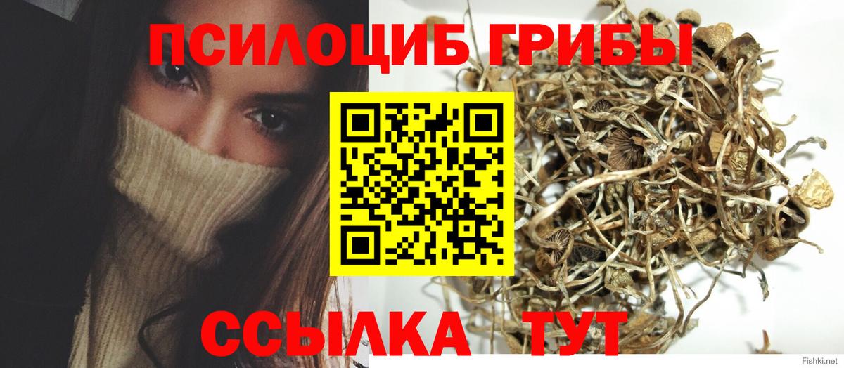 Светлоград  Псилоцибиновые грибы MAGIC MUSHROOMS  Вход с VPN  Галлюциногенные грибы Cubensis 