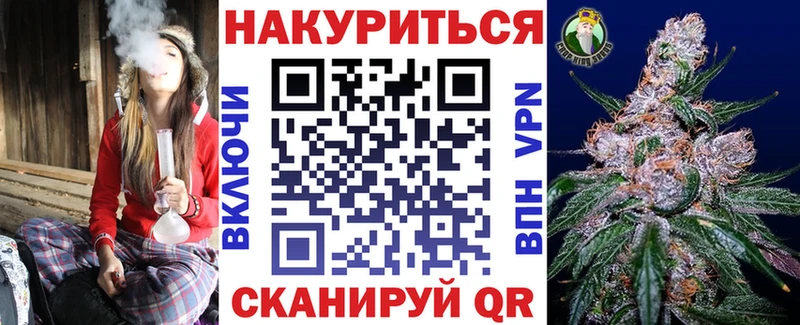 что такое   Светлоград  Конопля сатива 