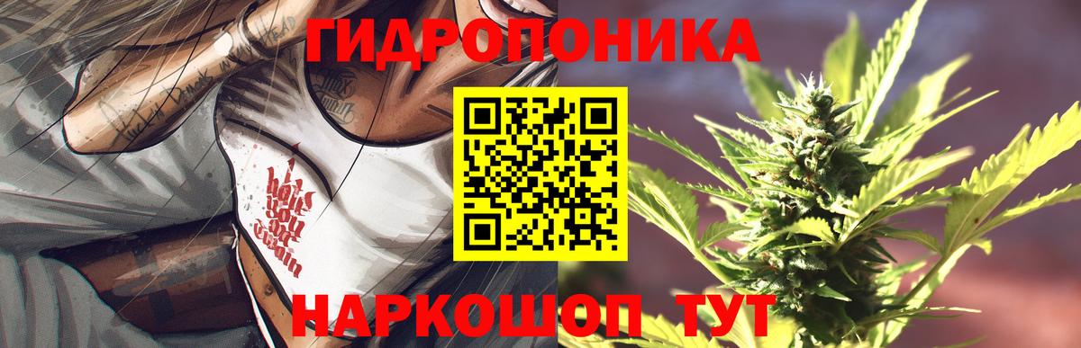 ГАШИШ Светлоград